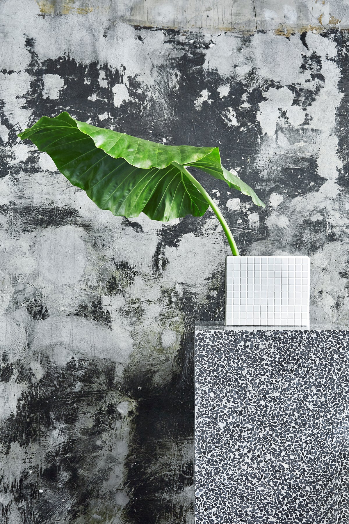 Tableau × IKON København – billede 4